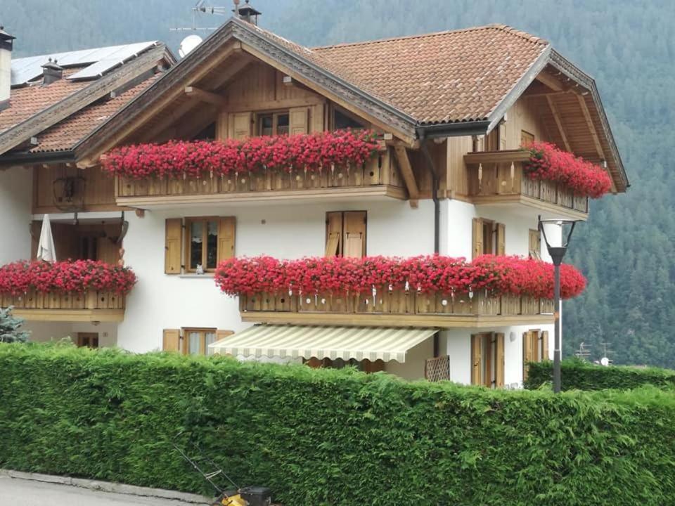 Appartamento Mansarda Patrizia E Franco Val Di Sole Commezzadura Exterior photo